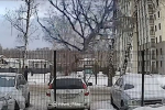 Коммунальщики хотели убрать опасное дерево и уронили его на машину россиянина