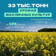 Почти 190 тысяч тонн зерна собрали в Калужской области за 2024 год