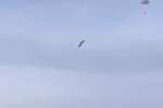  F-35     