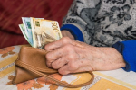 Пенсионный фонд северного соседа России заработал рекордную прибыль