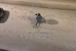 Россиянин избил девушку ногами после проверки телефона и попал на видео