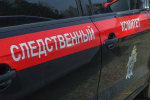Раскрыты детали дела о вымогательстве главы «Новой газеты-Рязань» и члена партии «Яблоко»