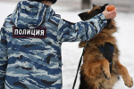 Стали известны подробности обнаружения похищенной российской школьницы