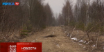 Житель поселка Якшуново перекрыл дорогу к домам односельчан (видео)