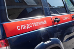 Участников похищения со стрельбой в Москве потребовали арестовать