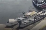 Пожилой мужчина прыгнул в воду ради спасения от пчел-убийц и захлебнулся