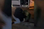 Завербованные СБУ женщины из российских городов попали на видео