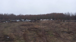 В Медынском районе убрали несанкционированную свалку