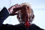 Стало известно о неготовности плана Трампа по урегулированию на Украине