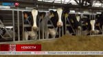 На развитие сельского хозяйства в Калужской области выделены рекордные средства