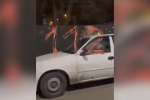 Перевозившего енотов на крыше авто водителя привлекли к административной ответственности