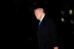 В Белом доме заявили о пользе контактов Трампа и Путина для мира