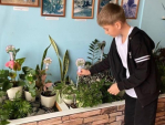 Интерьеры школы в Авчурино Ферзиковского района украсили зеленью