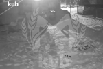Момент уничтожения беспилотника над Краснодарским краем попал на видео