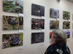 В Калуге открылась фотовыставка «Природа Калужской области»