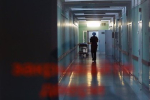 В России девятимесячный ребенок попал в больницу с травмой черепа из-за верблюда