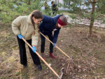 В Калужской области объявлен месячник благоустройства