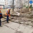 Непогода устроила древопад в Калужской области