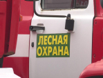 В Калужской области пожарную ситуацию мониторят помощью 48 вышек сотовой связи