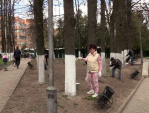 Месячник благоустройства стартует в Калужской области