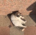 Погода в Калуге