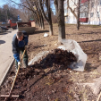 В Обнинске начали проводить субботники