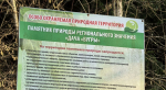 Особо охраняемая природная зона в Обнинске превратилась в прибежище наркоманов