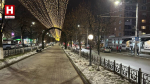 По аллее на ул. Кирова «полетят» белые журавли