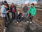 Липовое благоустройство