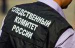 Бастрыкин вмешался в дело с избиением детей мигрантами в калужском Белоусово