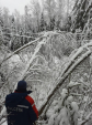 Непогода обесточила часть Калужской области