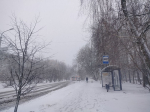 Калугу продолжает засыпать снегом