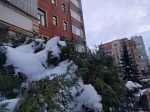 Снег в Калуге прекратится к выходным