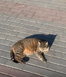 В Калуге теплеет с каждым днем
