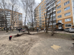 В Калуге убрали упавшее дерево после обращений в интернете