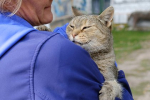 Застрявшего под защитой двигателя машины котенка спасли в российском городе