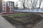 Почти 500 единиц декоративных кустарников высадили у здания администрации в Людинове