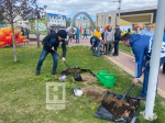 В парке ТЮЗа в Калуге появились новые пихты