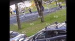            [+]