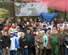 Более 9 тысяч сосен появится в Калужском лесничестве