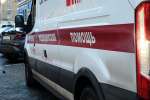 В российском регионе собака чуть не лишила трехлетнюю девочку скальпа