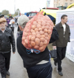 Взлет цена на картошку объяснили неурожаем