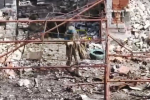 Боец ВСУ получил удар российским дроном по голове, встал и пошел в обратную сторону