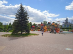 В парке Театра юного зрителя спилили большую ель