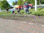 В Мещовске начались работы по озеленению