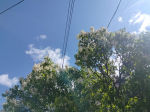 В Калуге становится теплее