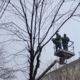 На трех улицах Калуги отключат электричество