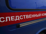 Бастрыкин взял на контроль ситуацию с мигрантами в Белоусове