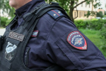 В Госдуме призвали МВД к проверке из-за истязания котенка в Подмосковье