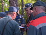 Инструкция от калужских поисковиков: что делать, если заблудился в лесу